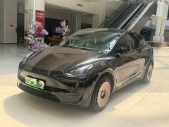 Tesla Model Y Rear-Wheel Drive - ფოტო 3