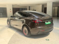 Tesla Model Y Rear-Wheel Drive - ფოტო 6
