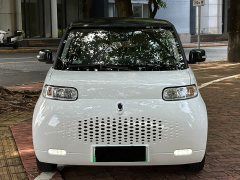 ORA White Cat 2020 360km Luxury - ფოტო 1