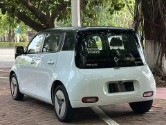 ORA White Cat 2020 360km Luxury - ფოტო 4