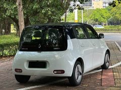 ORA White Cat 2020 360km Luxury - ფოტო 5