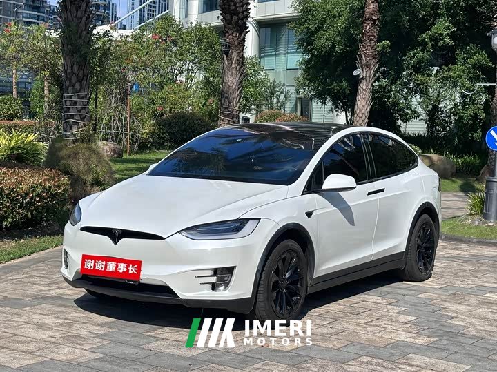 Tesla Model X 2020 Long Range Plus - ავტომობილი ჩინეთიდან