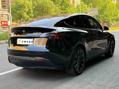 Tesla Model Y 2022 Facelift Long Range All-Wheel Drive - ფოტო 10