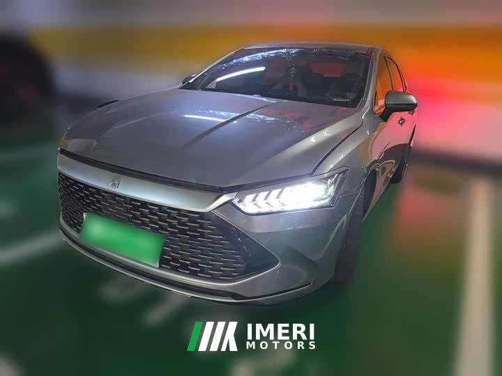 BYD Qin PLUS Champion Edition DM-i 55KM Leading