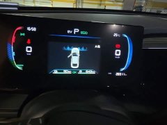 BYD Qin PLUS Champion Edition DM-i 55KM Leading - ფოტო 12