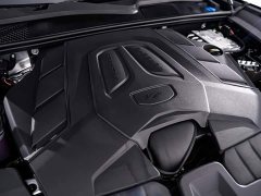 Porsche Cayenne 3.0T Dream Chaser Edition - ფოტო 13