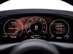 Porsche Cayenne 3.0T Dream Chaser Edition - ფოტო 16