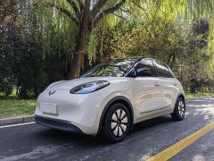Wuling Binguo 2023 333km Joy Edition - ფოტო 1