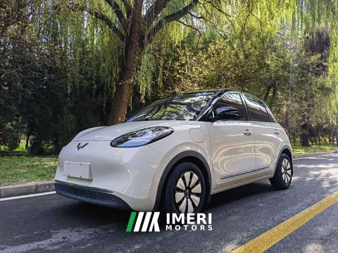 2024 Wuling Binguo 2023 333km Joy Edition - ავტომობილი ჩინეთიდან