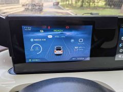 Wuling Binguo 2023 333km Joy Edition - ფოტო 10