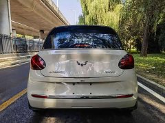 Wuling Binguo 2023 333km Joy Edition - ფოტო 2