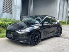 Tesla Model Y 2021 Standard Range RWD - ფოტო 1