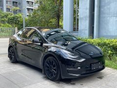 Tesla Model Y 2021 Standard Range RWD - ფოტო 10