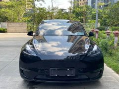 Tesla Model Y 2021 Standard Range RWD - ფოტო 5