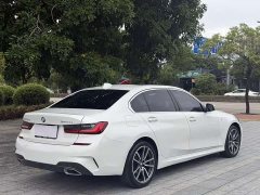 BMW 3 Series Facelift 320Li M Sport Package - ფოტო 9