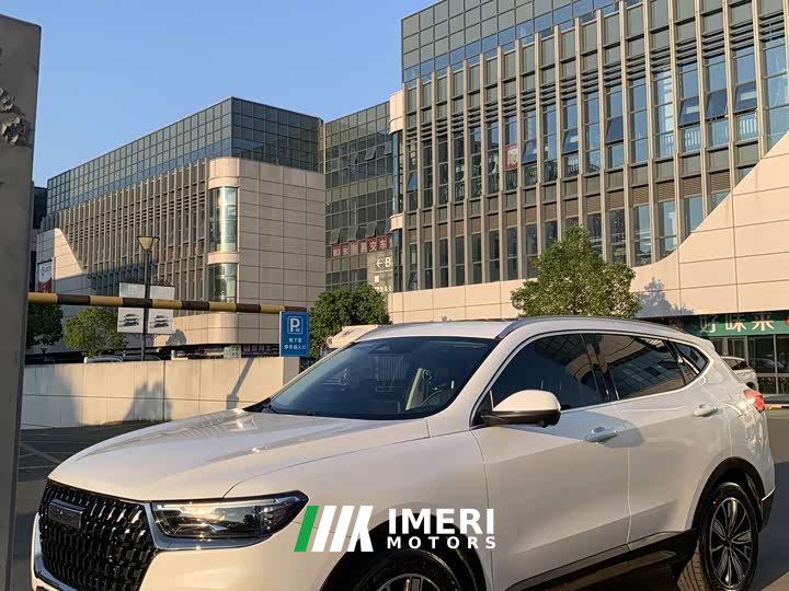 Haval H6 2023 National Trend Edition 1.5T Automatic Champion Version - ავტომობილი ჩინეთიდან
