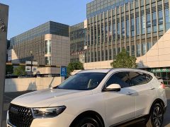 Haval H6 2023 National Trend Edition 1.5T Automatic Champion Version - ფოტო 1