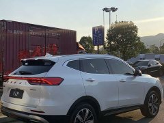 Haval H6 2023 National Trend Edition 1.5T Automatic Champion Version - ფოტო 5