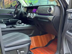 Tank 300 2023 Off-Road Edition 2.0T Conqueror - ფოტო 10