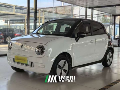 2021 ORA Black Cat 301km Base - ავტომობილი ჩინეთიდან