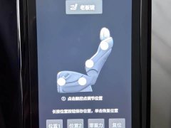 Denza D9 2022 DM-i 970 AWD Flagship - ფოტო 16