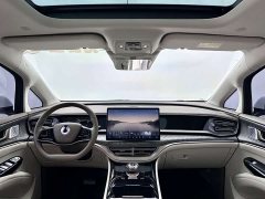 Denza BYD Denza D9 2022 DM-i 1040 Premium - ფოტო 8