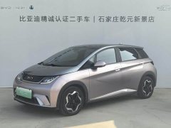 BYD Dolphin 405km Fashion Edition - ფოტო 1