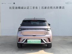 BYD Dolphin 405km Fashion Edition - ფოტო 4