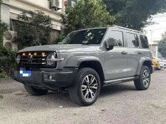 Tank 300 City Edition 2.0T Stylish - ფოტო 1