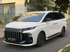 Dongfeng Xinghai V9 1.5TD 200km Chinese Knot Series Deluxe Edition - ფოტო 1