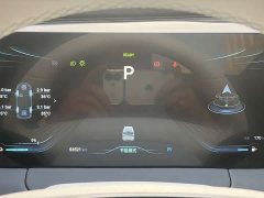 Dongfeng Xinghai V9 1.5TD 200km Chinese Knot Series Deluxe Edition - ფოტო 20