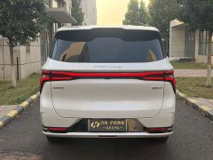 Dongfeng Xinghai V9 1.5TD 200km Chinese Knot Series Deluxe Edition - ფოტო 3