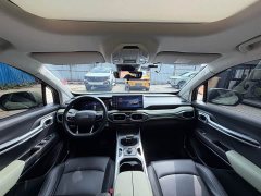 Geely Radar Horizon 2023 550km Deluxe Edition - ფოტო 9