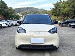Wuling Binguo 333km Lingxi Connected Edition - ფოტო 2