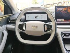 Geely Galaxy Xingyao 6 2026 125km Explorer Edition - ფოტო 15