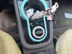 Chery Ant 150,000 Ant Fans Edition Ant Tide Version Ternary Lithium - ფოტო 10