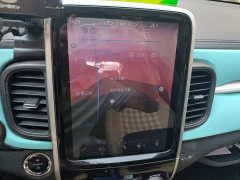Chery Ant 150,000 Ant Fans Edition Ant Tide Version Ternary Lithium - ფოტო 20
