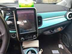Chery Ant 150,000 Ant Fans Edition Ant Tide Version Ternary Lithium - ფოტო 9