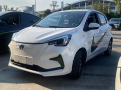 Changan Benben E-Star 2020 Joyful Edition Ternary Lithium - ფოტო 1