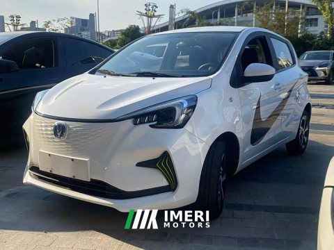 2021 Changan Benben E-Star 2020 Joyful Edition Ternary Lithium - ავტომობილი ჩინეთიდან