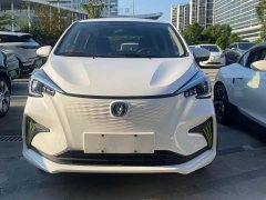 Changan Benben E-Star 2020 Joyful Edition Ternary Lithium - ფოტო 2