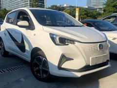 Changan Benben E-Star 2020 Joyful Edition Ternary Lithium - ფოტო 3