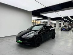 Tesla Model Y Long Range All-Wheel Drive - ფოტო 1