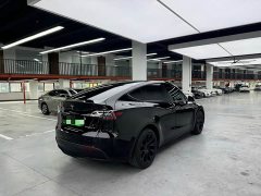 Tesla Model Y Long Range All-Wheel Drive - ფოტო 13