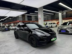 Tesla Model Y Long Range All-Wheel Drive - ფოტო 3