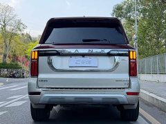 Tank 500 3.0T Premium Custom Edition 5-Seater - ფოტო 4