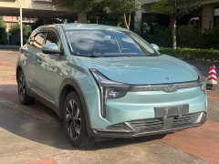 Neta U Neta U-II 400 Lite Ternary Lithium - ფოტო 3