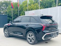 FAW Red Flag HS3 PHEV 2024 115km Dynamic Edition - ფოტო 13