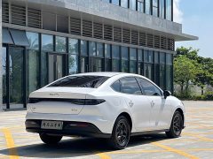 BYD Seagull 05 DM-i Smart Drive Edition 55KM Luxury - ფოტო 6