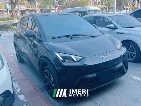 2025 BYD Seagull Smart Drive 405km Flight Edition - ავტომობილი ჩინეთიდან